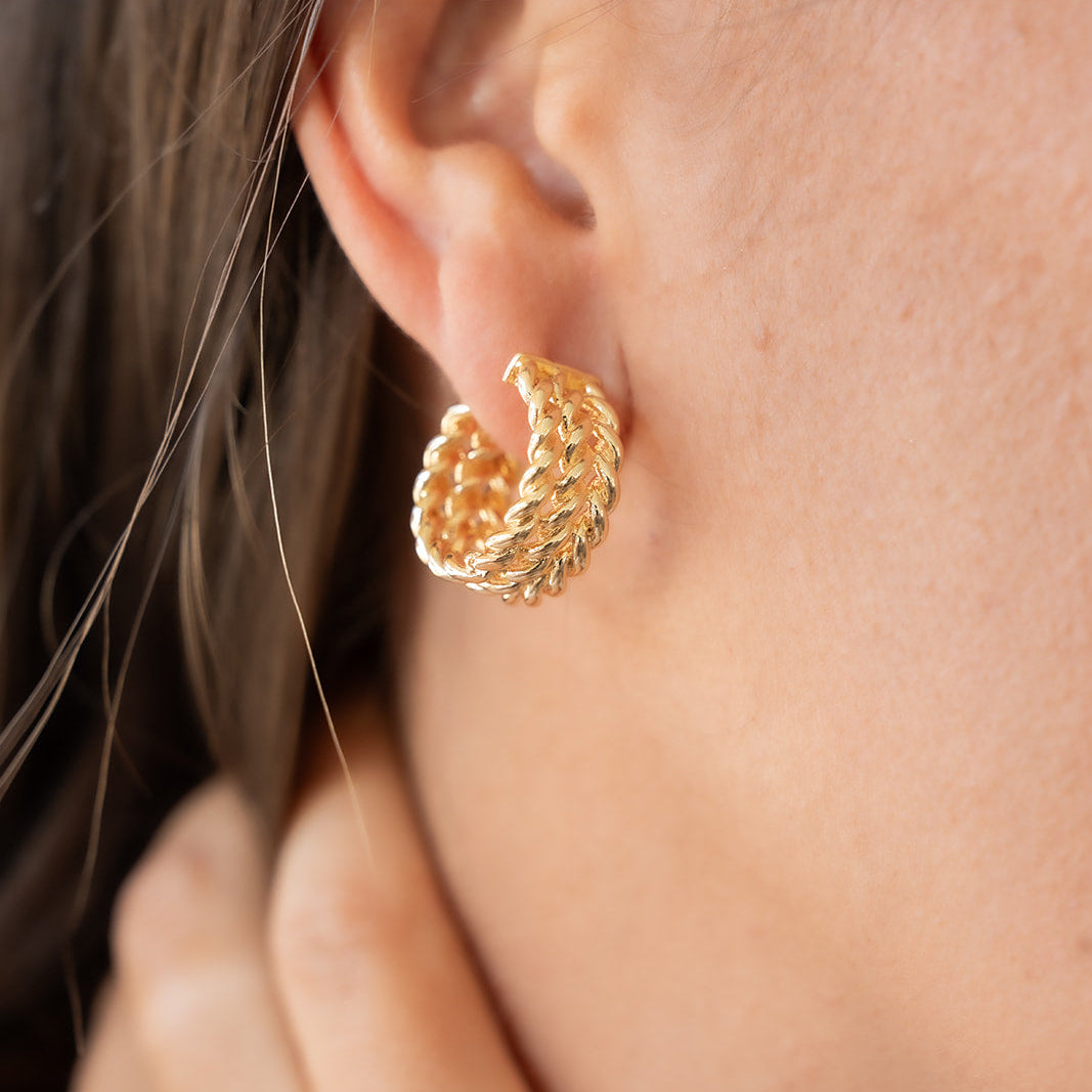Earrings