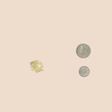 4 Leaf Clover Medium Charm