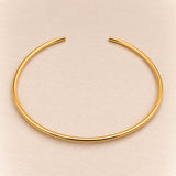 Goldy Collar Choker