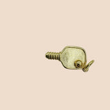Tiny Pickleball Charm